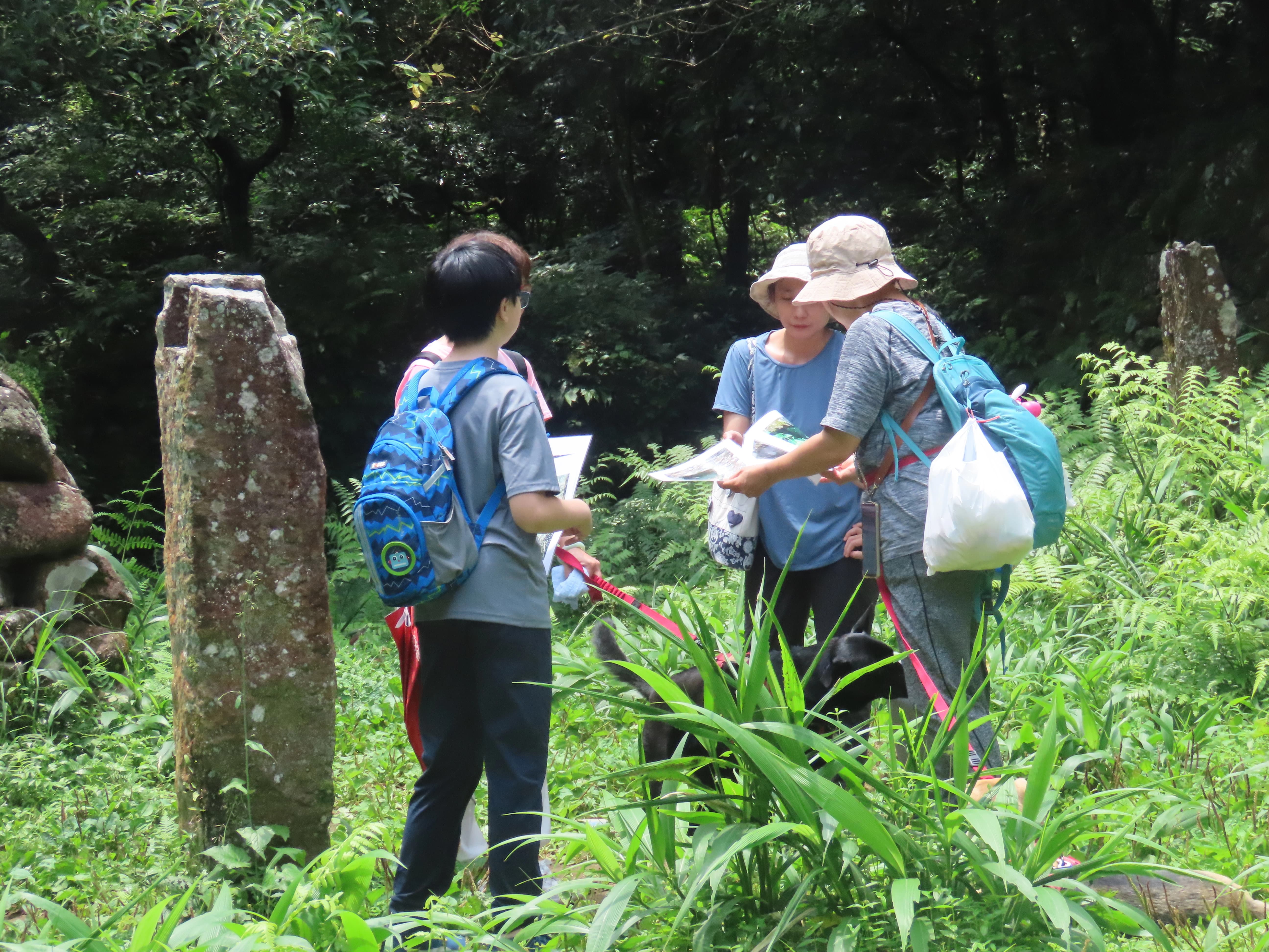 [靜心慢遊面天坪] 活動照片